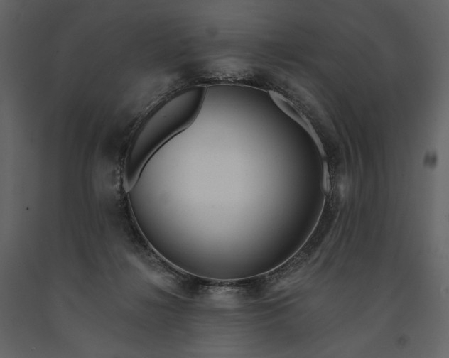 X0000091170268200708231512