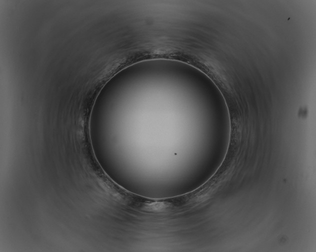 X0000091170269200708231512