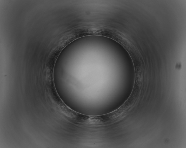 X0000091170270200708231512