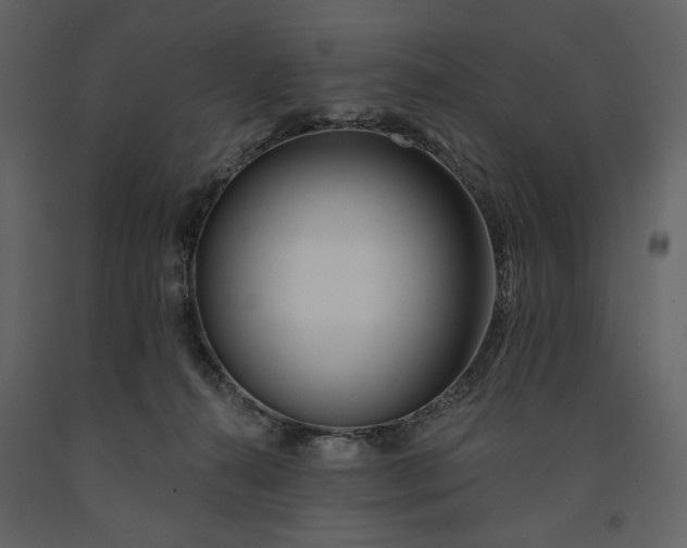 X0000091170272200708231512