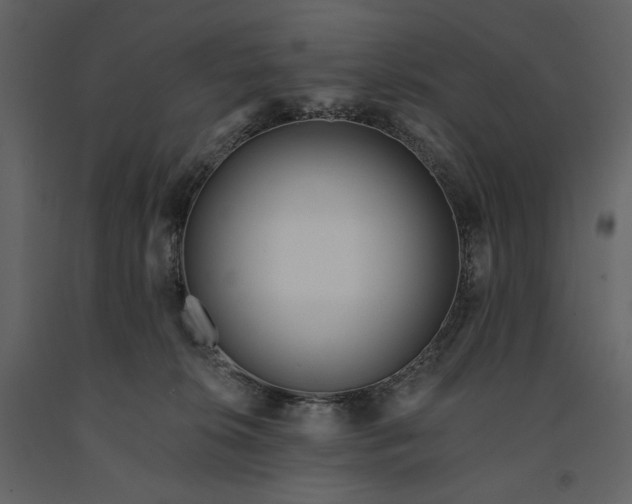 X0000091170276200708231512