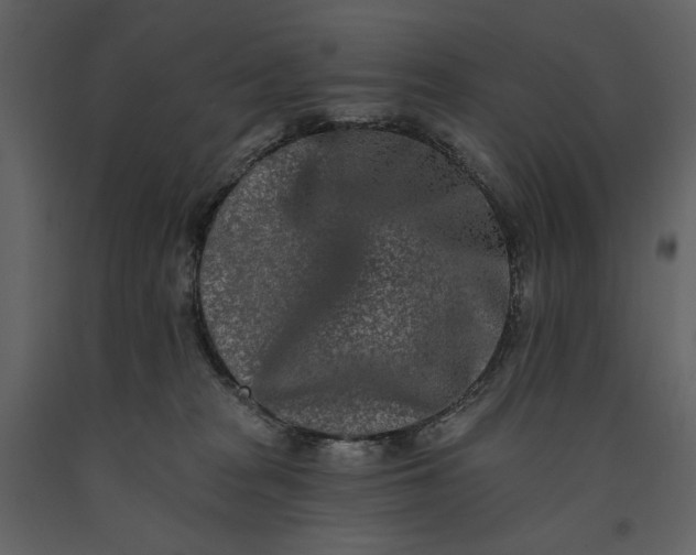 X0000091170277200708231512