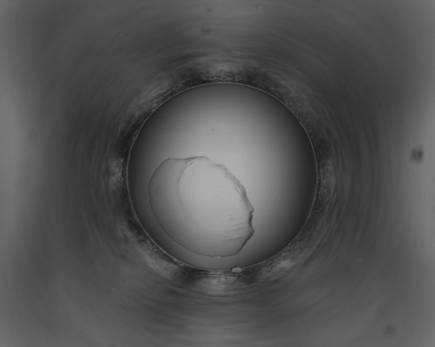 X0000091170278200708231512