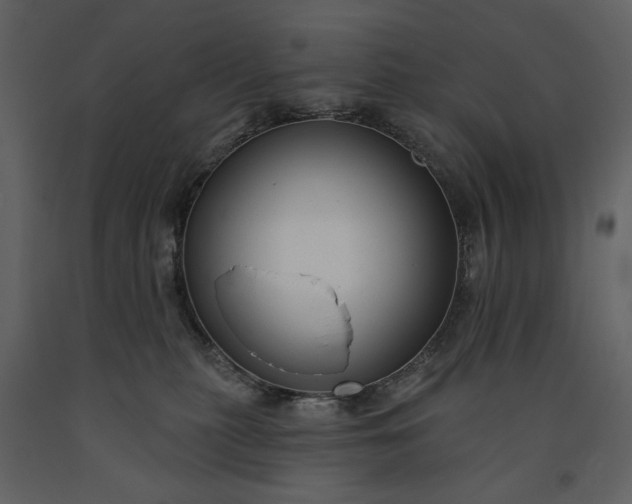 X0000091170279200708231512