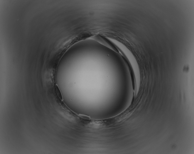 X0000091170280200708231512