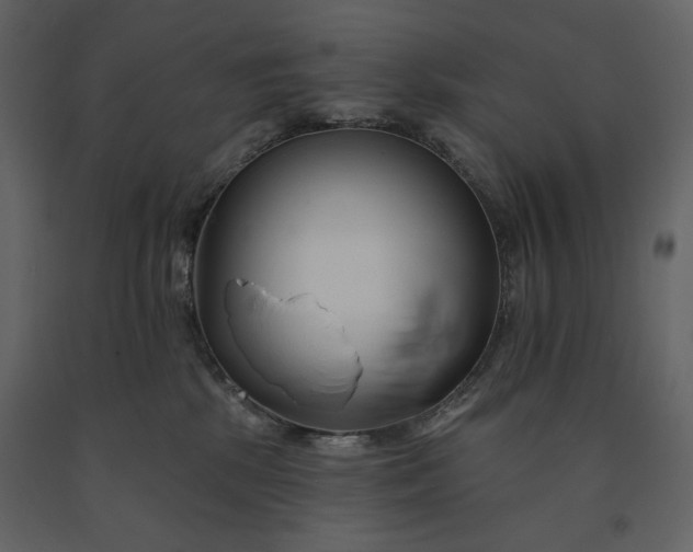 X0000091170281200708231512