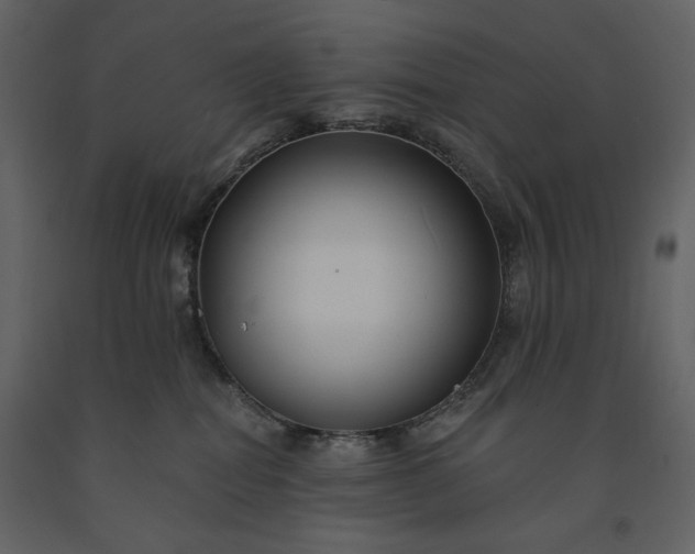 X0000091170282200708231512