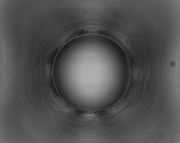 X0000091170283200708231512