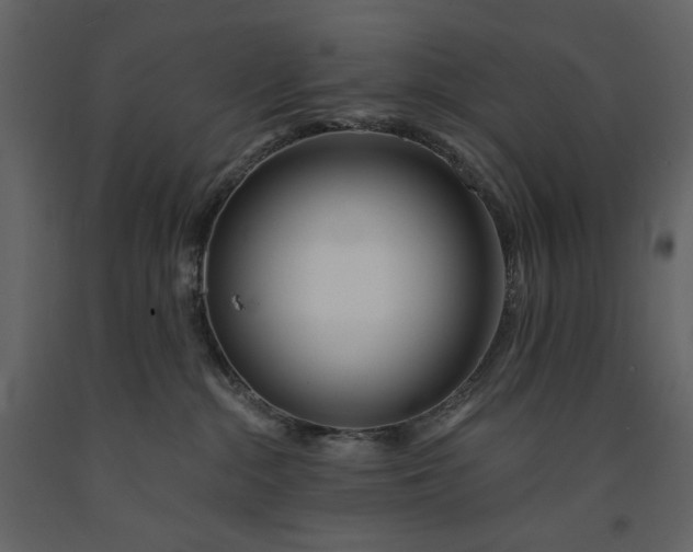 X0000091170284200708231512