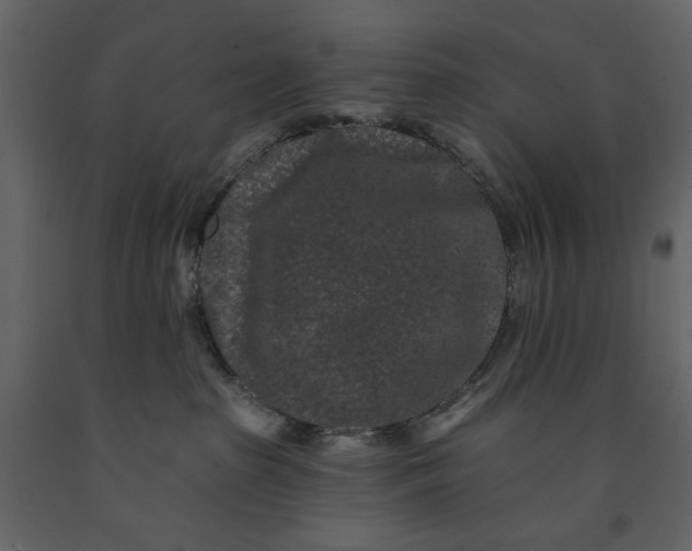 X0000091170285200708231512