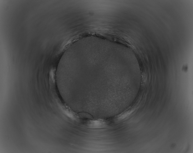 X0000091170286200708231512