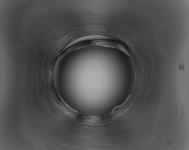 X0000091170288200708231512