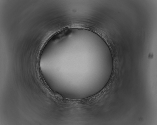 X0000091170289200708231511