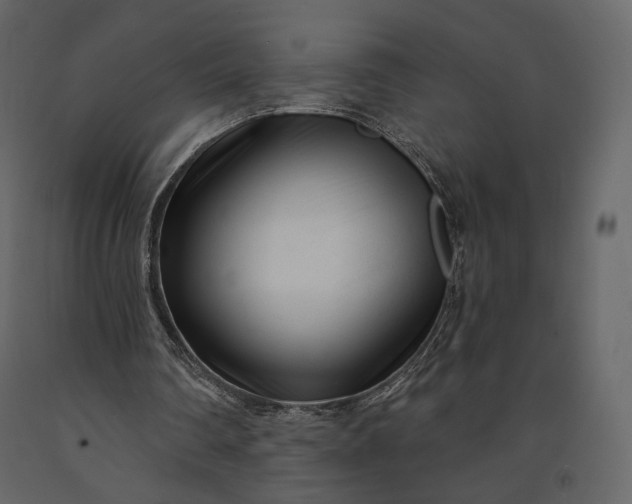 X0000091170290200708231511