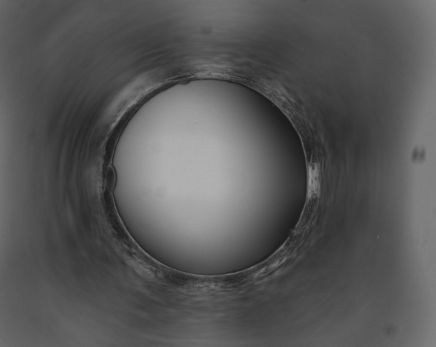 X0000091170291200708231511