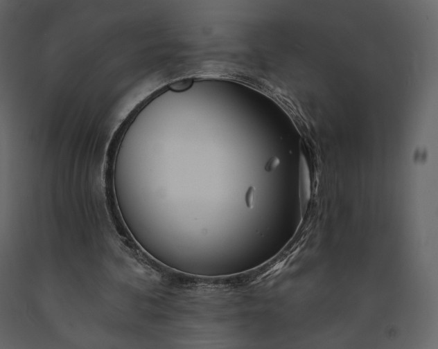 X0000091170292200708231511