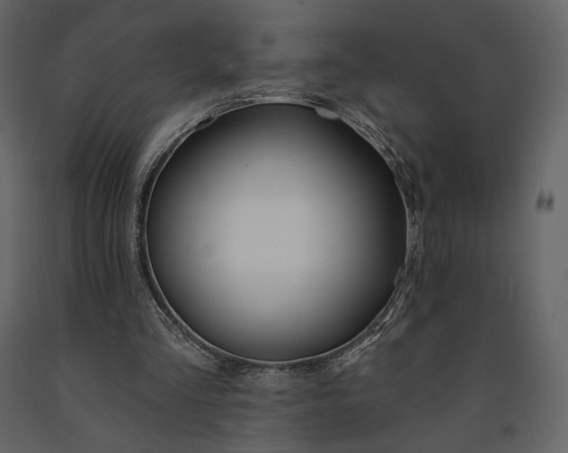 X0000091170293200708231511