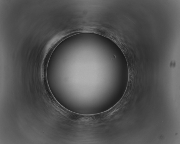 X0000091170294200708231511