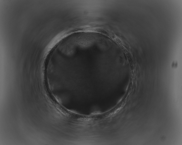 X0000091170295200708231511