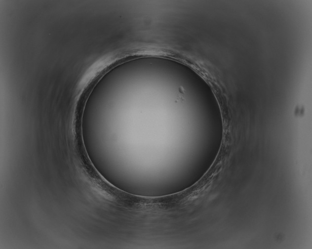 X0000091170296200708231511