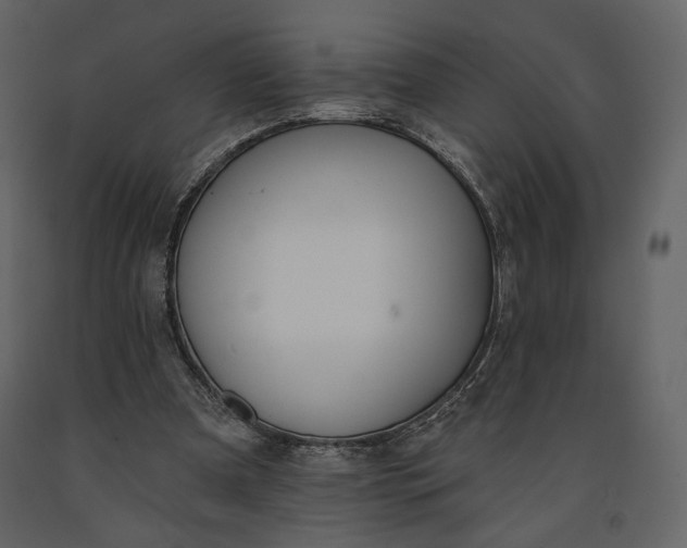 X0000091170297200708231511