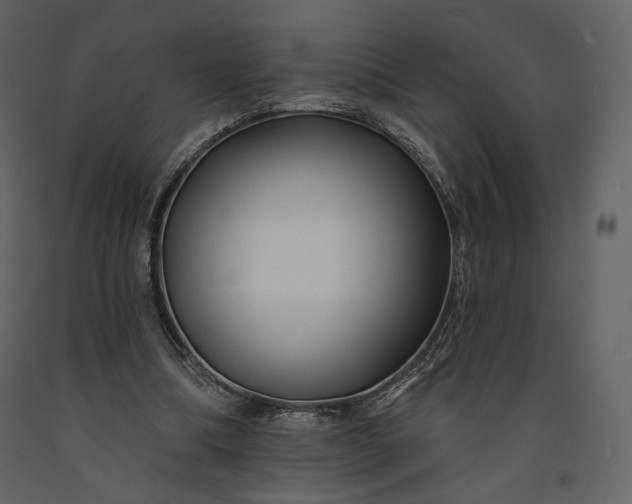 X0000091170298200708231511