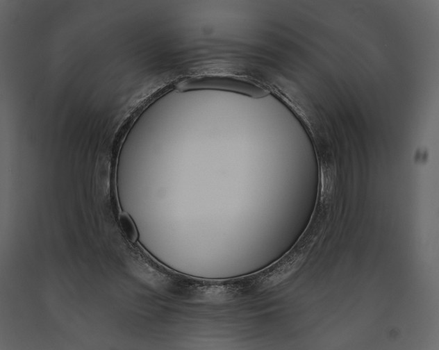 X0000091170301200708231511