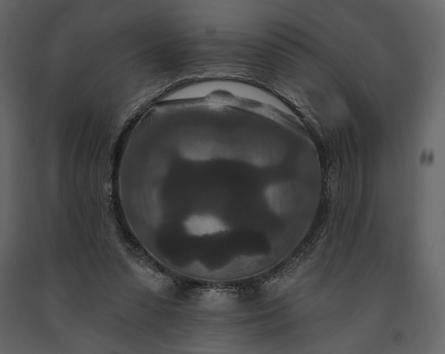 X0000091170303200708231511