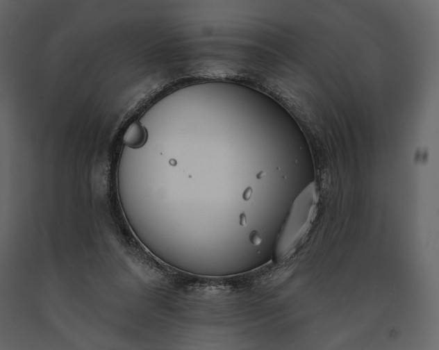 X0000091170304200708231511