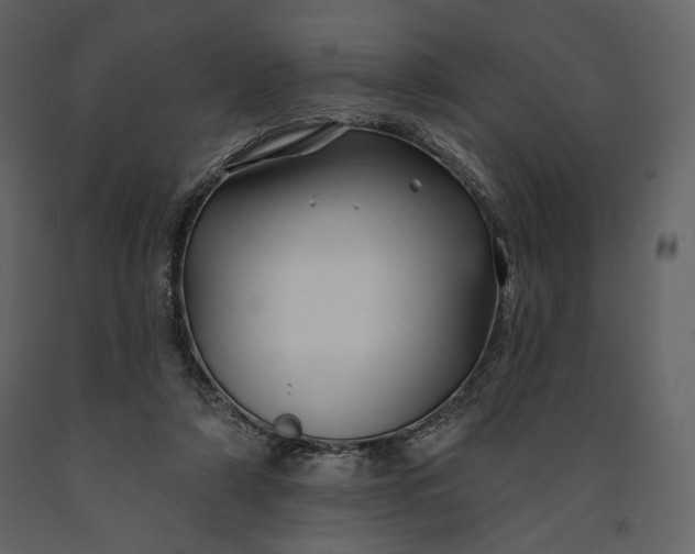 X0000091170306200708231511