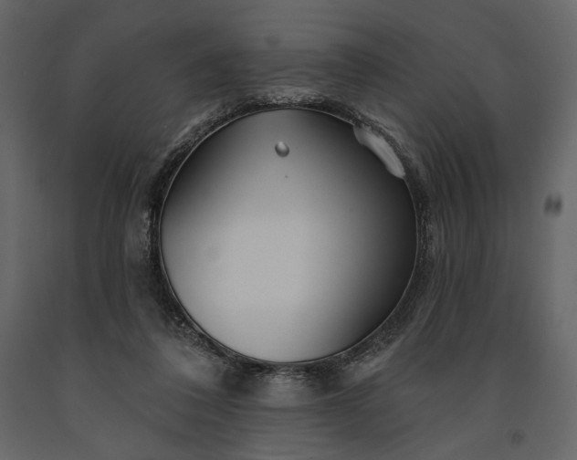 X0000091170308200708231511