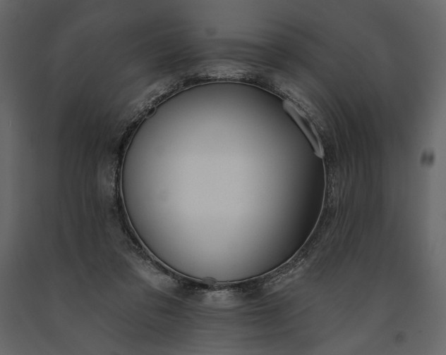 X0000091170309200708231511