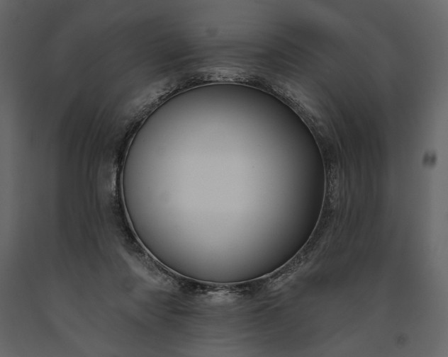 X0000091170310200708231511