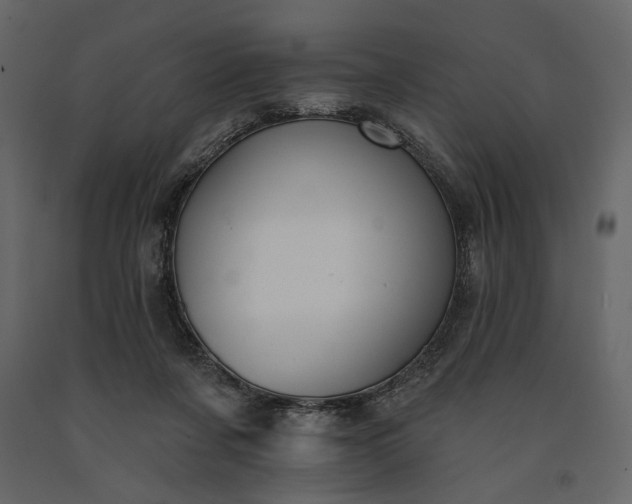 X0000091170311200708231511