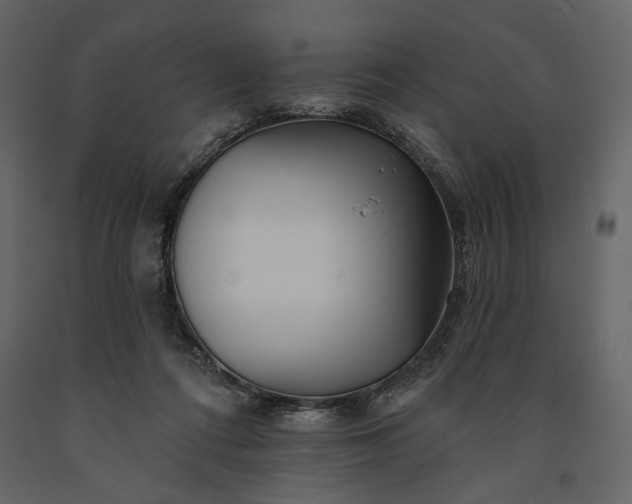 X0000091170312200708231511