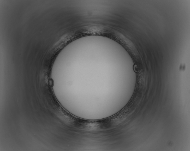 X0000091170313200708231511