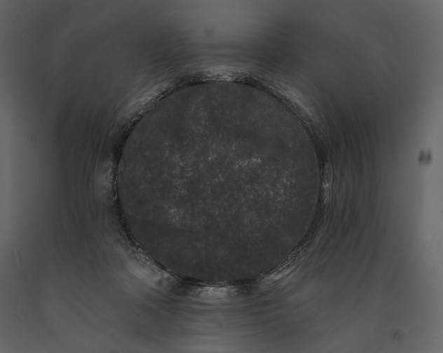 X0000091170314200708231511