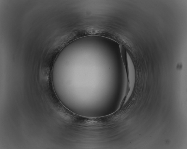 X0000091170315200708231511