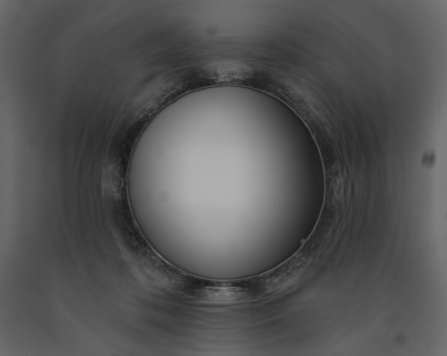 X0000091170316200708231511