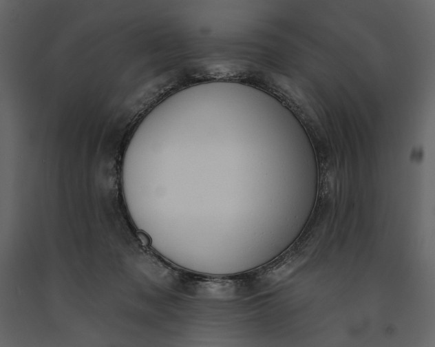 X0000091170317200708231511