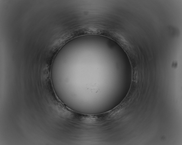 X0000091170318200708231511