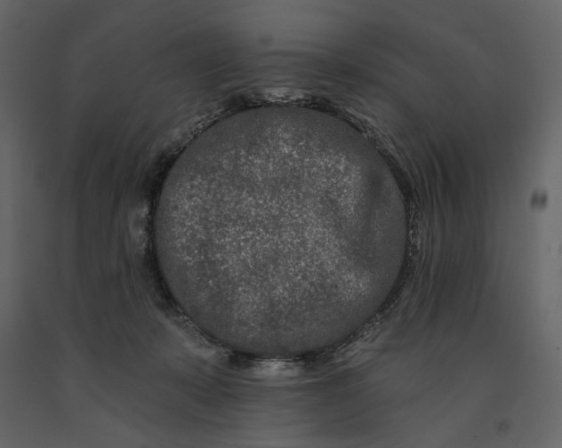 X0000091170319200708231511