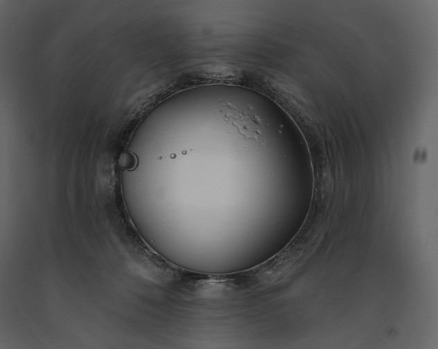 X0000091170320200708231511