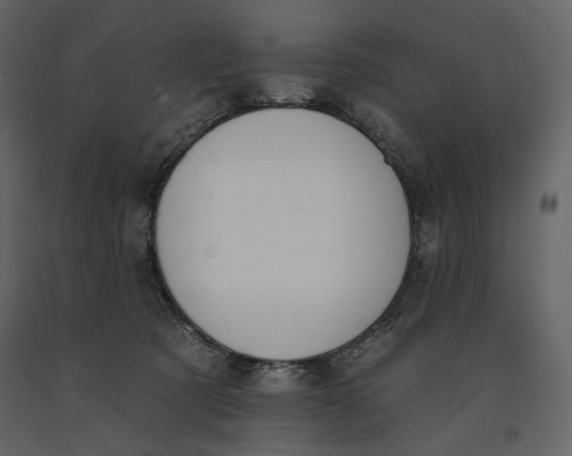 X0000091170321200708231511