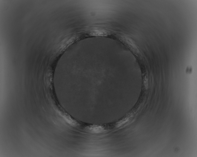 X0000091170322200708231511