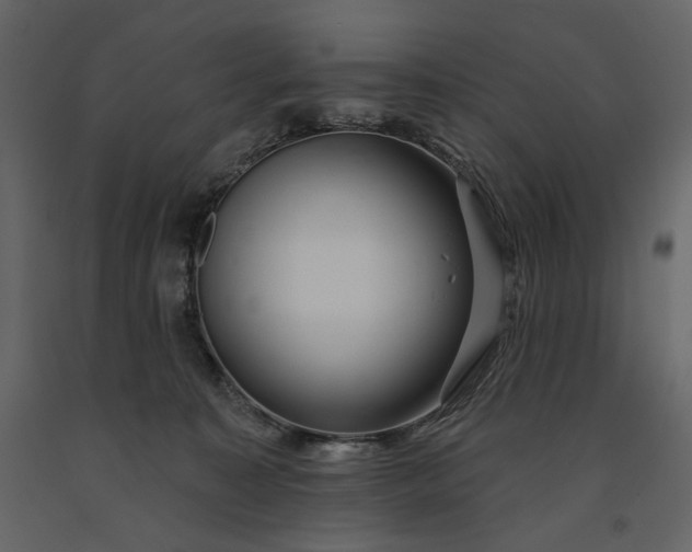 X0000091170323200708231511