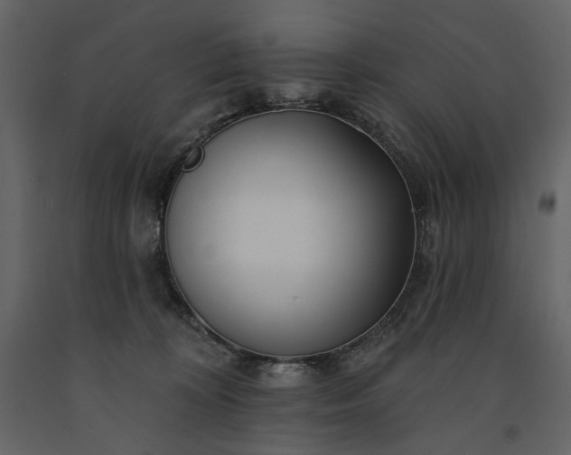 X0000091170324200708231511