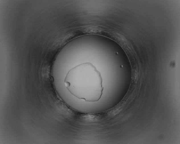 X0000091170326200708231511