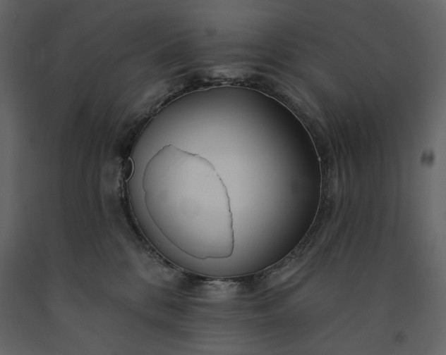 X0000091170328200708231511