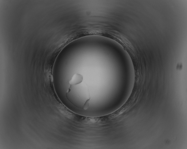 X0000091170329200708231511